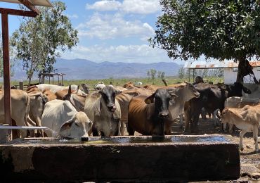 家畜給水用ソーラーポンプシステム