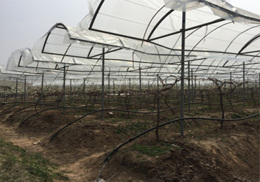 徐州市の7.5kW太陽光発電点滴灌漑プロジェクト
