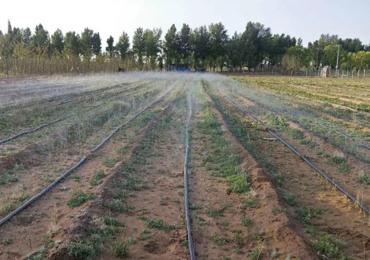 陝西省北部の農地灌漑実証プロジェクト